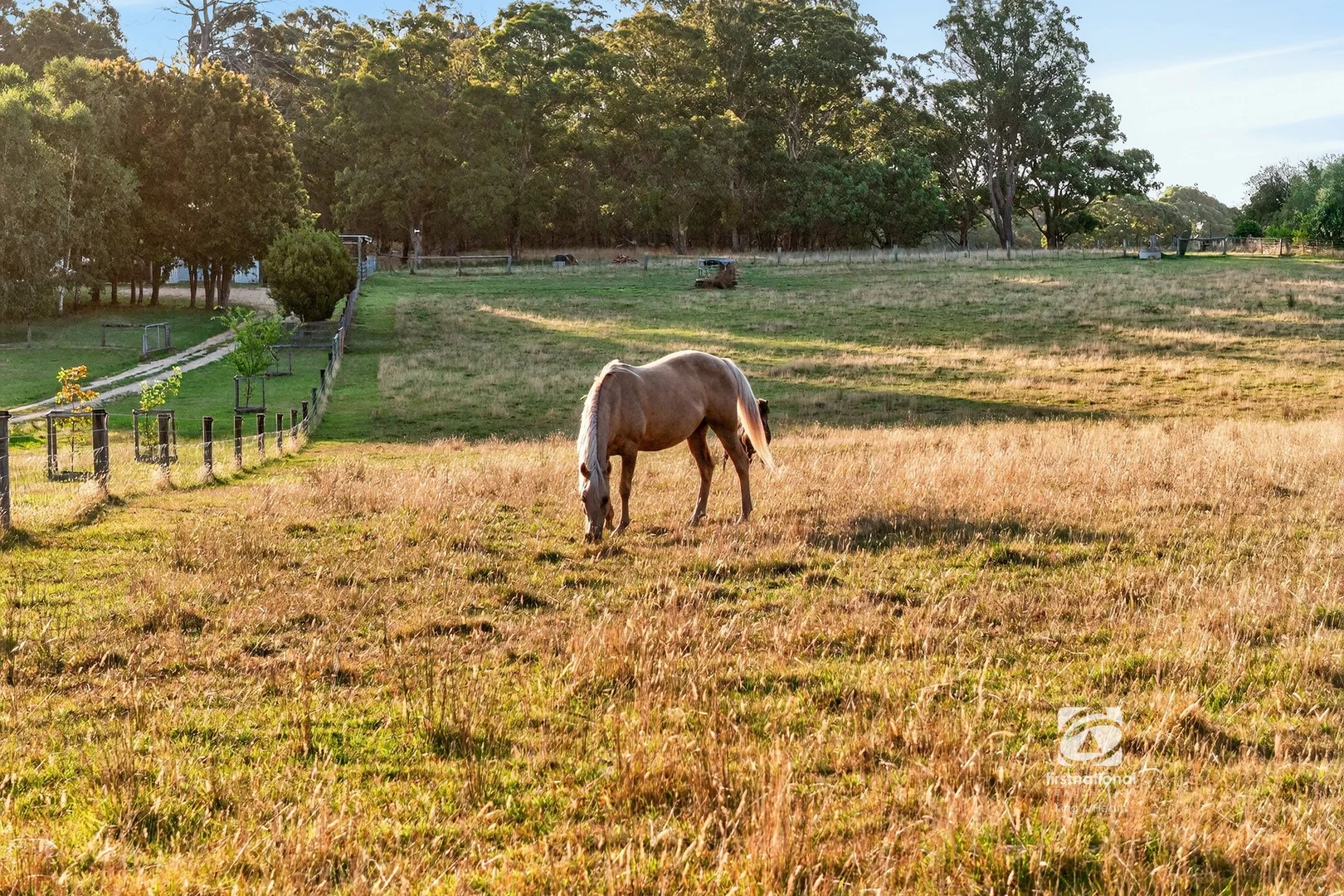 Additional image 26 of 240 Nungurner Road, Nungurner VIC 3909