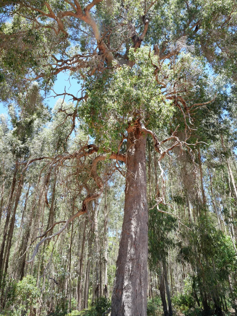 Image 14