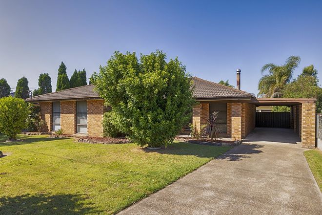 Picture of 10 Bolwarra Road, BOLWARRA NSW 2320