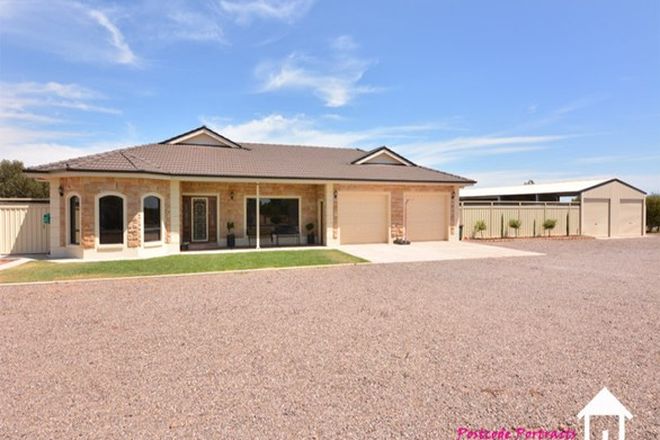 Picture of 3 Coolibah Court, WHYALLA JENKINS SA 5609