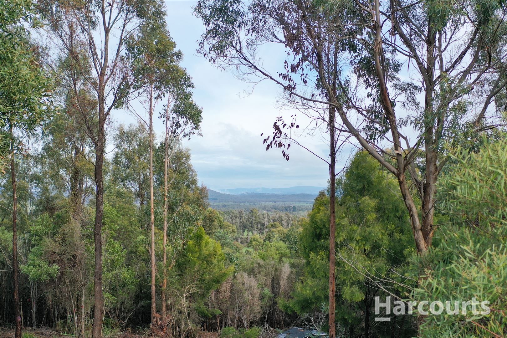 Lot 1 Praciaks Road, Pipers River TAS 7252, Image 2