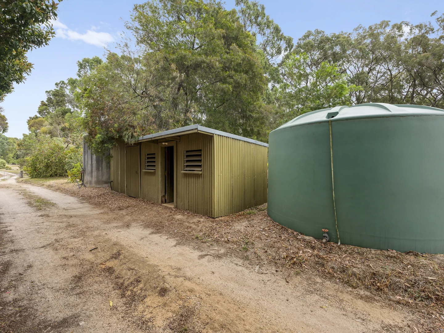Image 12