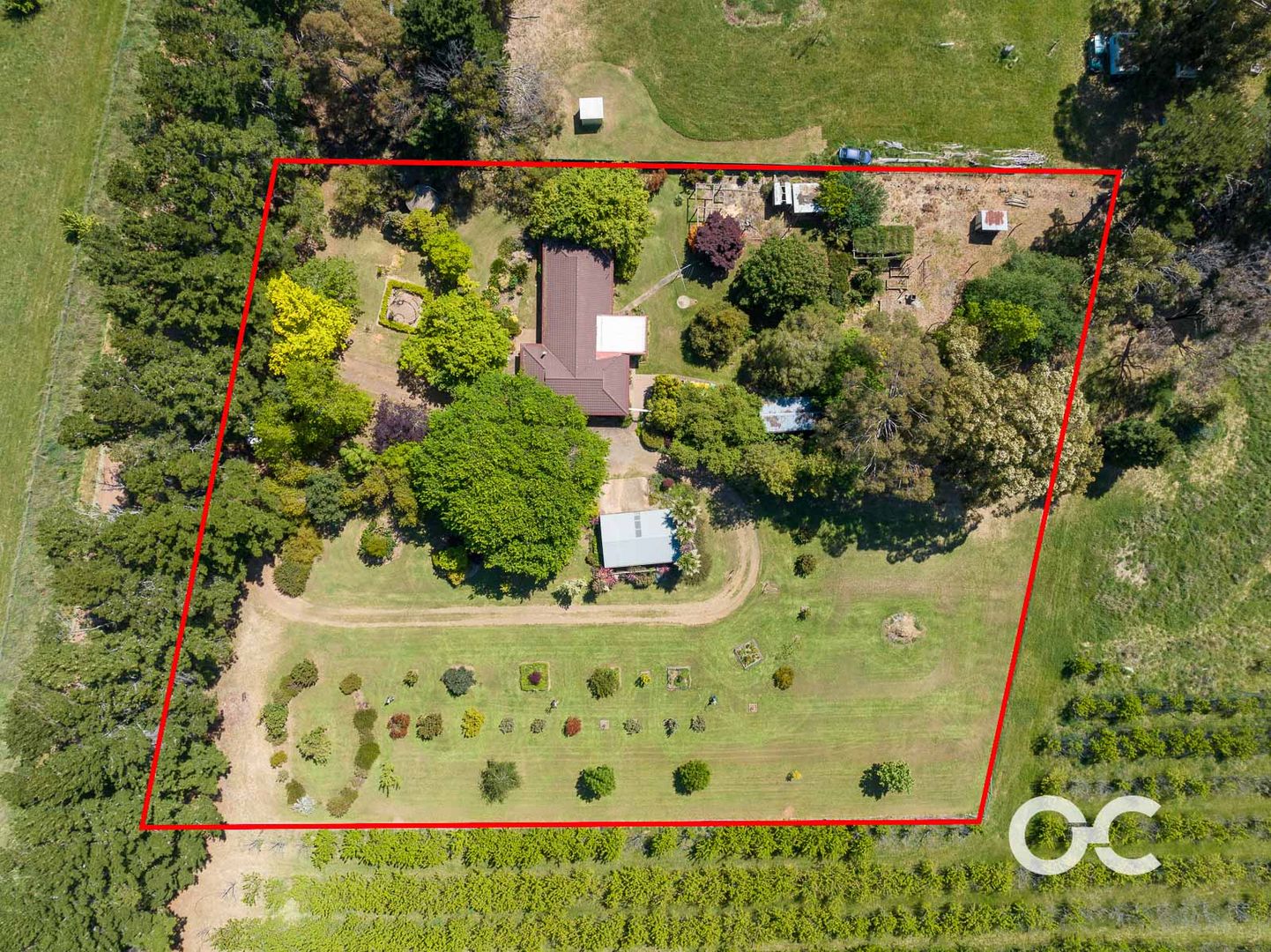 19 Watts Road, Borenore NSW 2800, Image 2