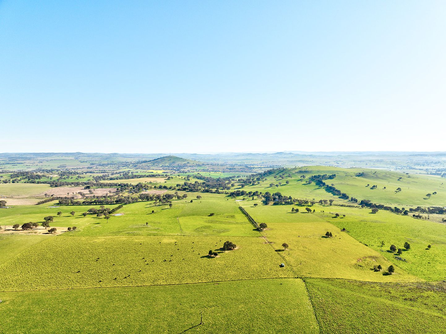 Alloway Road, Boorowa NSW 2586, Image 2