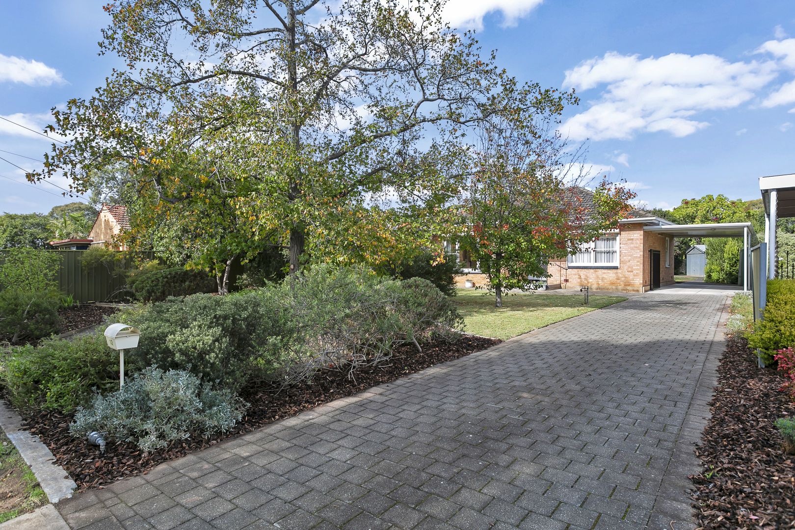 12 Coolah Terrace, Marion SA 5043, Image 1