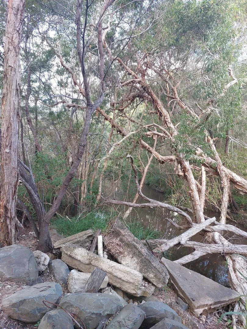 Additional image 18 of 17 Howard Heights Road, Howard QLD 4659