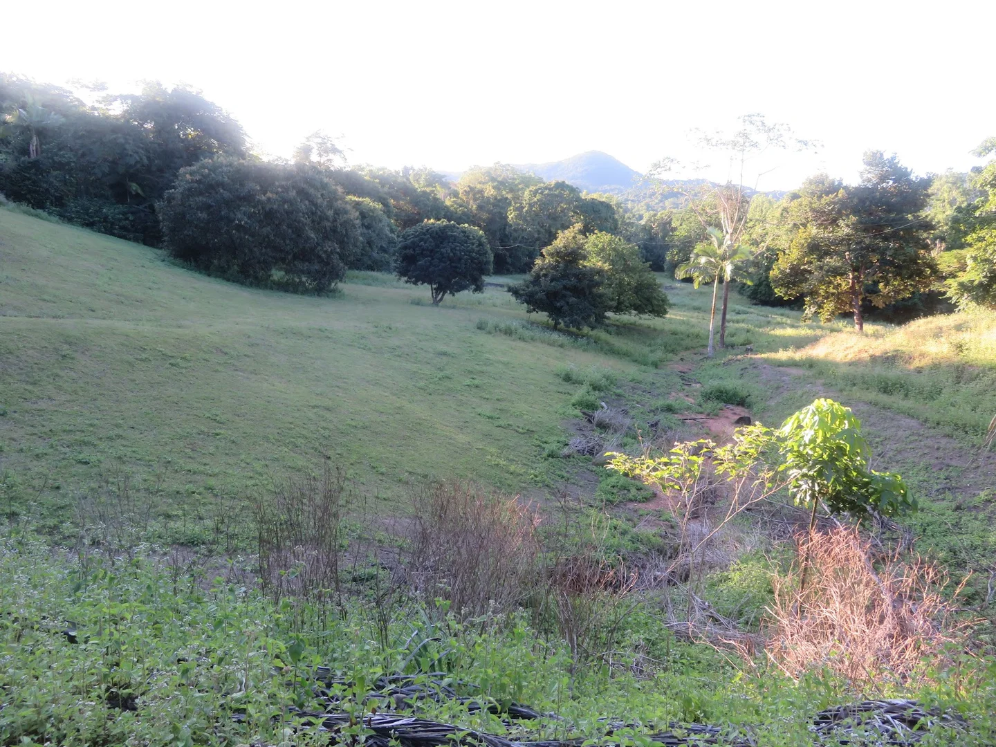 Image 10