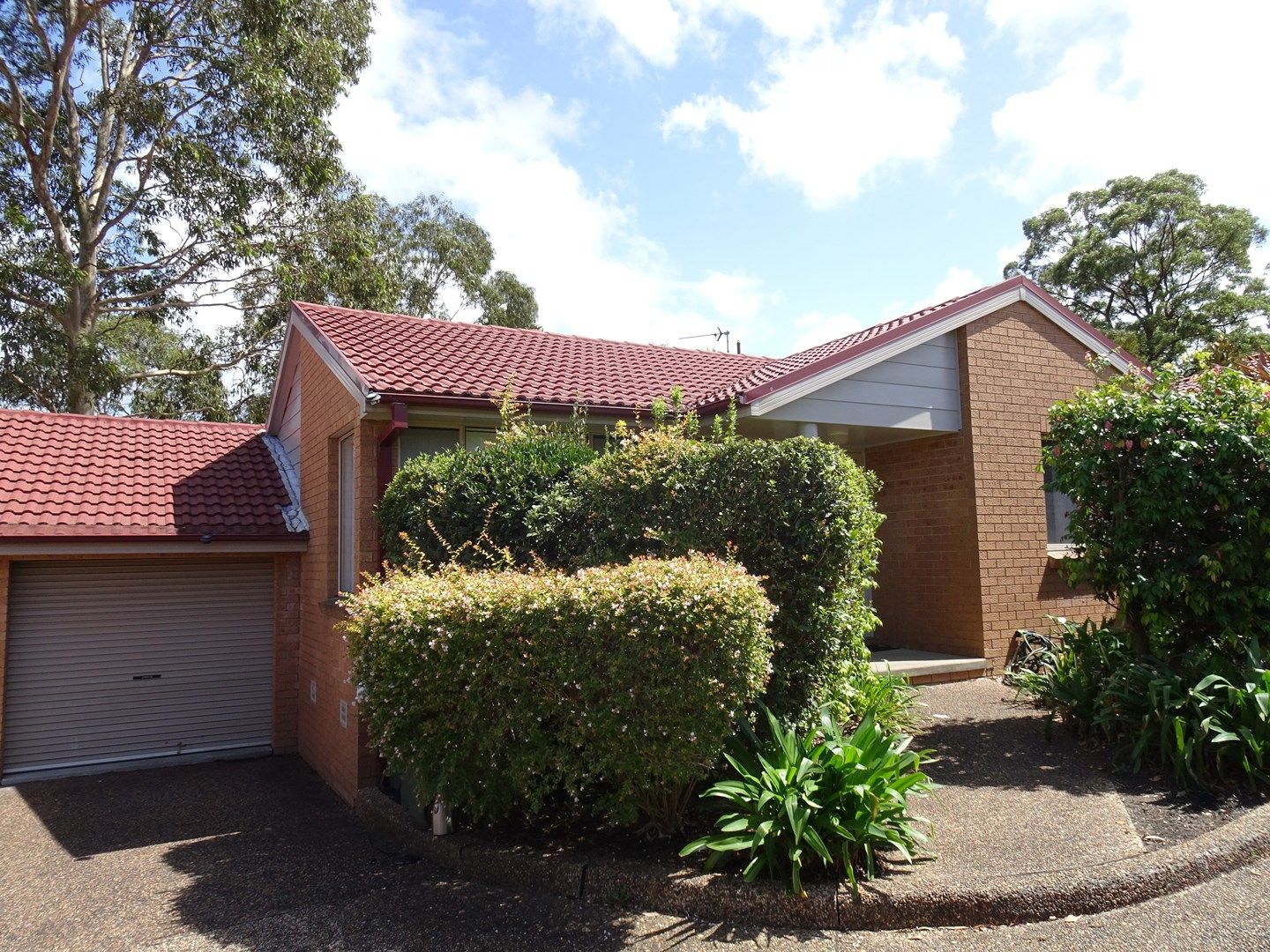 3/5 STREETON PLACE, Lambton NSW 2299, Image 0