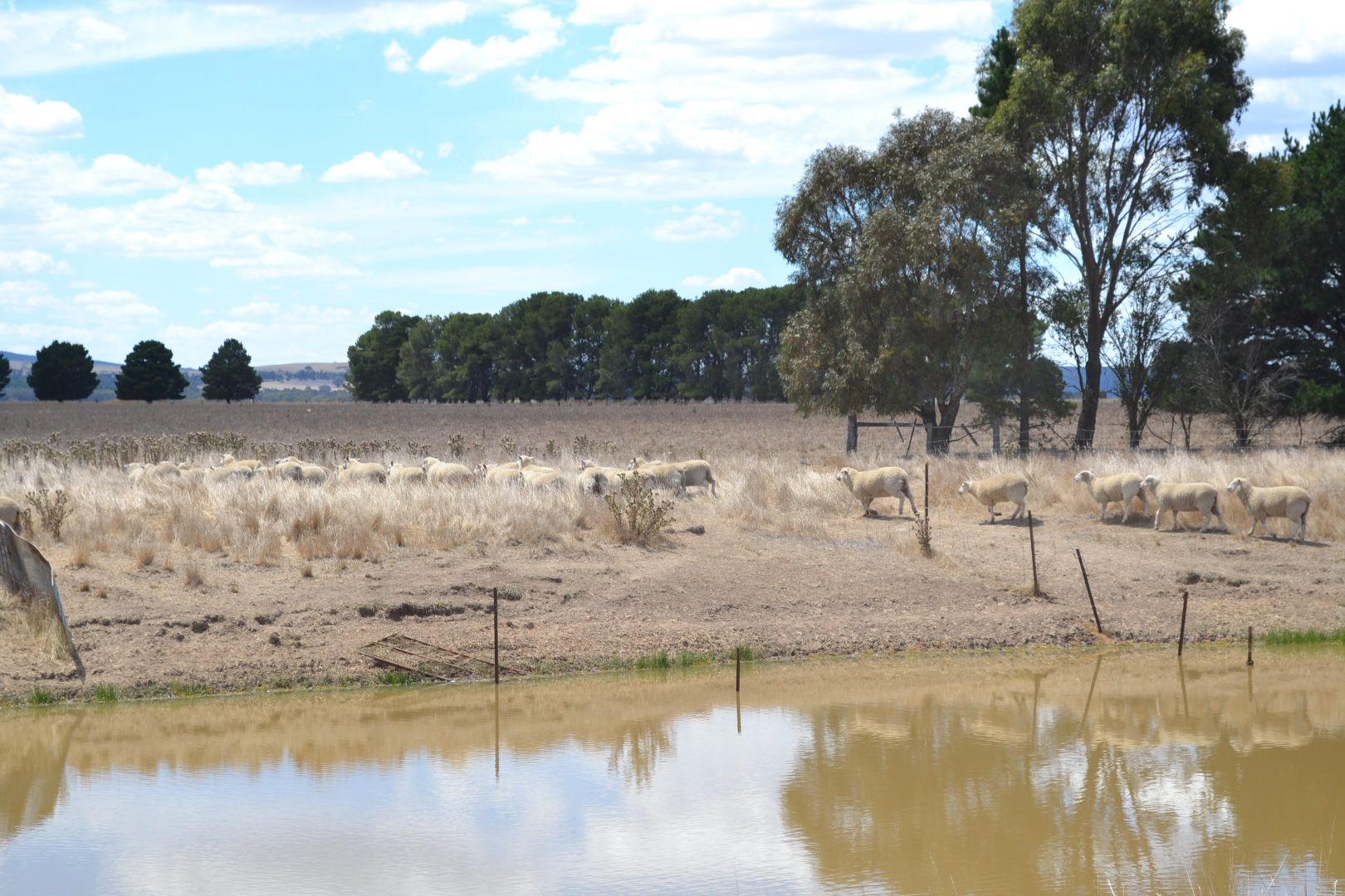 0 Aherns Road,, Middle Creek VIC 3375, Image 2