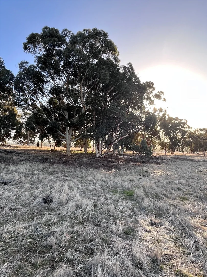 Image 18