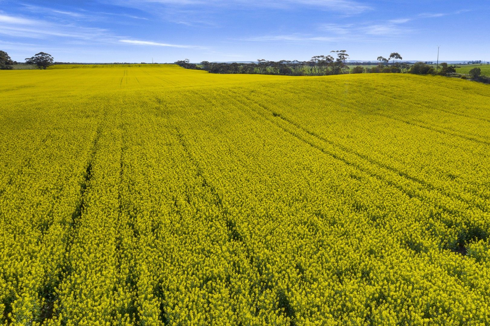 '30 Acre' Standpipe Road, Halbury SA 5461, Image 0