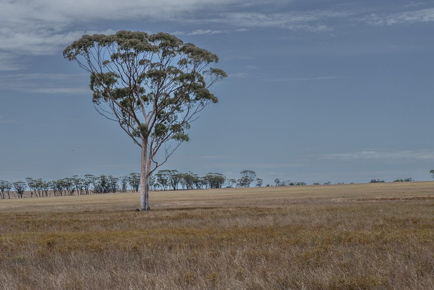 Rural in 122 Kidd Road, NORTH KUNUNOPPIN WA, 6489