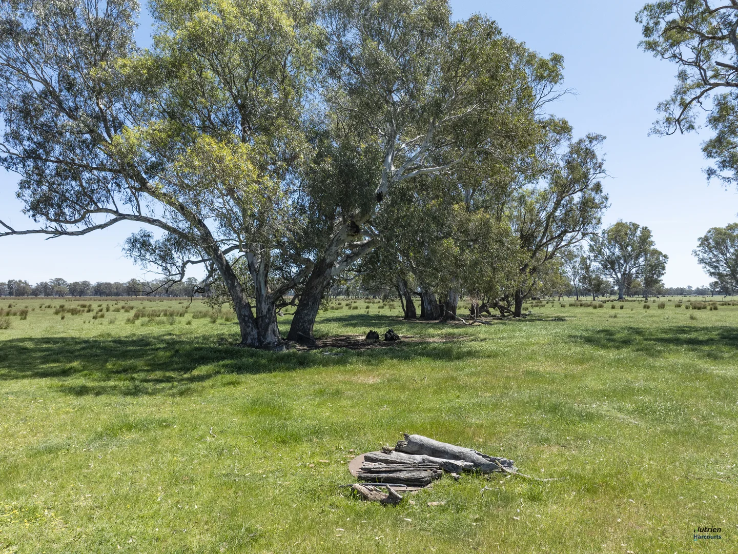 Image 19