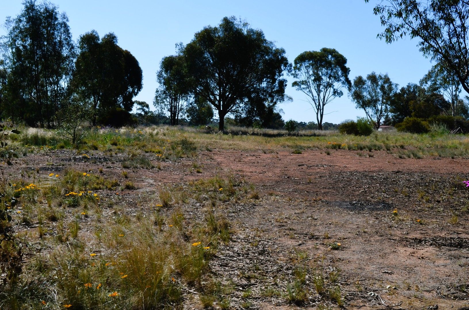 44-46 Devlin Street, Coolamon NSW 2701, Image 0