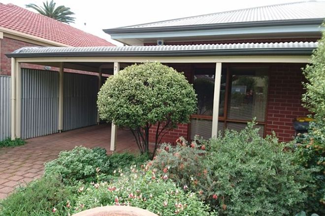 Picture of 7 Rhyl Avenue, WAYVILLE SA 5034