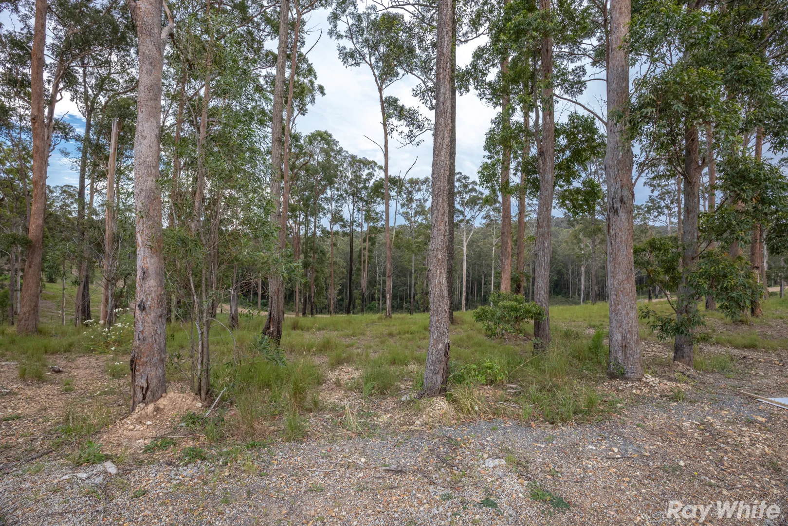 Additional image 3 of Lot 4 Tallwoods Drive 'Summerland Estate', Hallidays Point NSW 2430