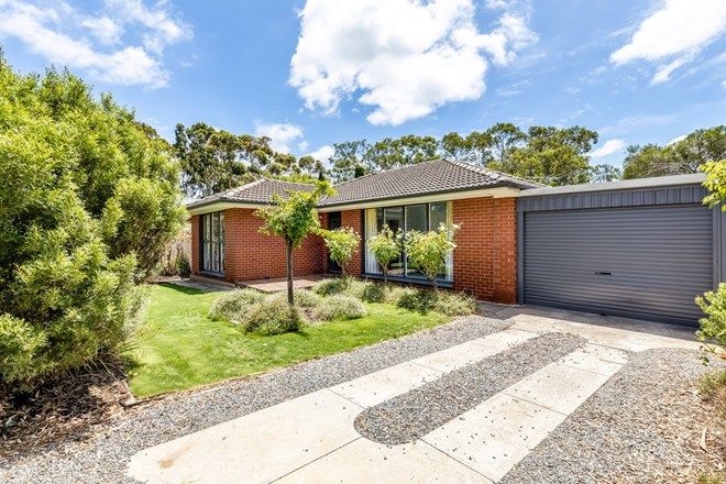 Picture of 9 Scroop Road, HAWTHORNDENE SA 5051