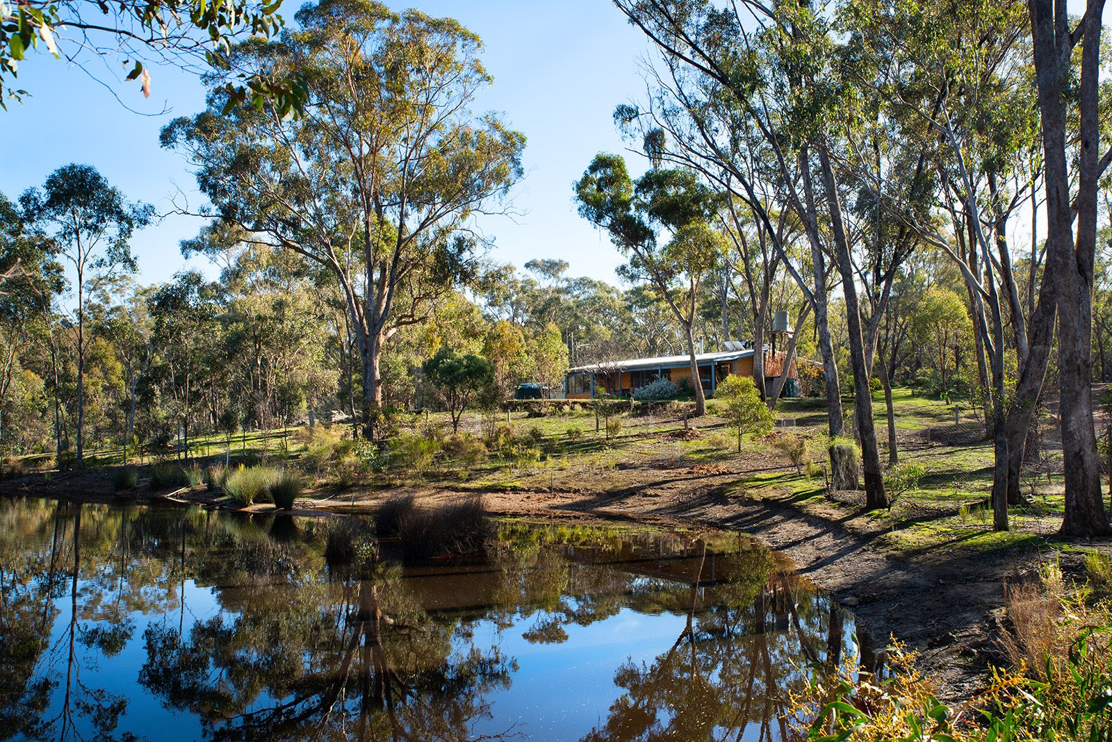 78 Cruits Lane, Muckleford VIC 3451, Image 1