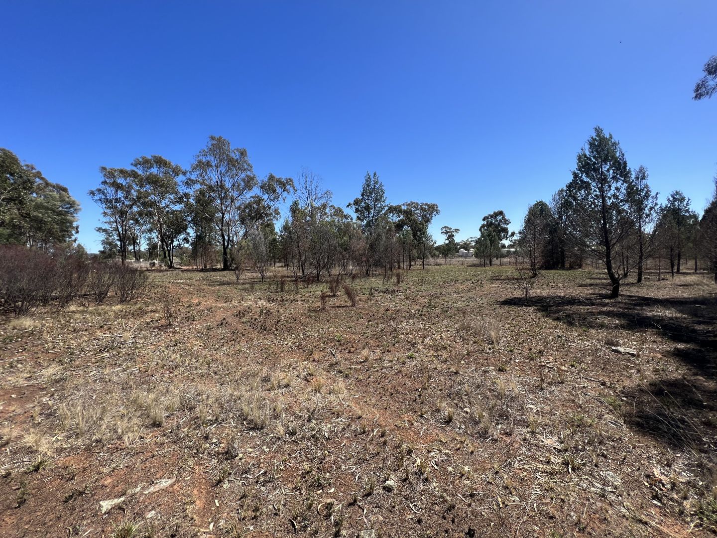 Lot 14 Jackson Street, Bogan Gate NSW 2876, Image 1