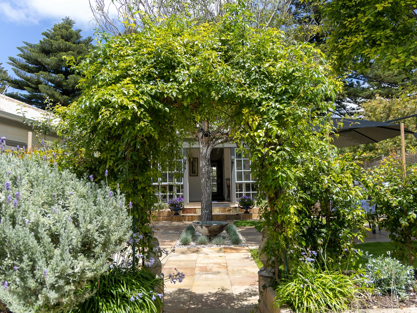 Image 15