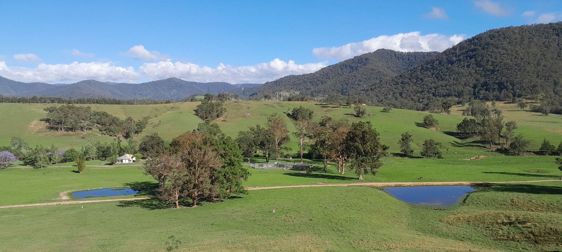 8314 KEMPSEY ROAD, Lower Creek NSW 2440 Livestock Property for Sale