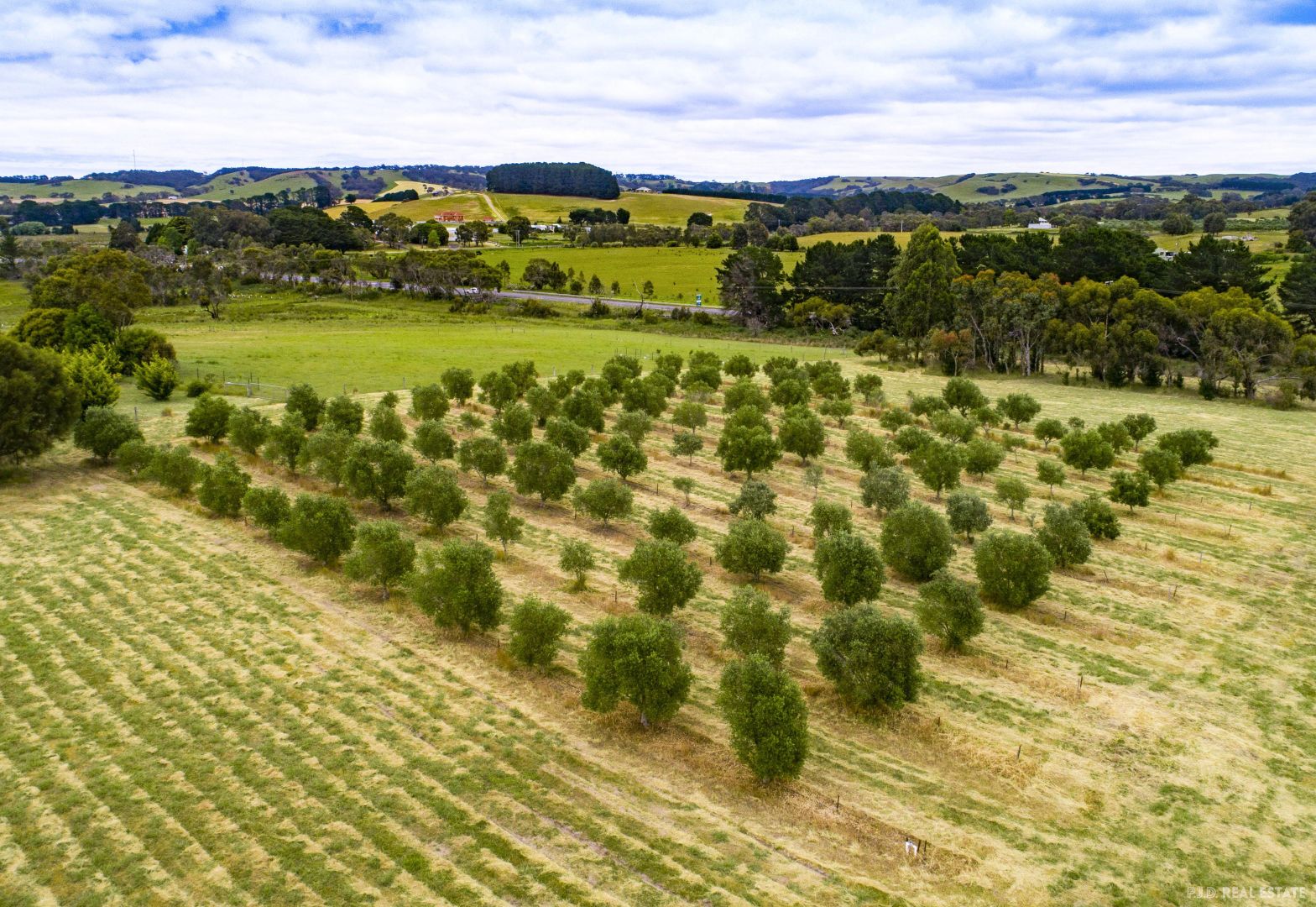 31E Cleland Gully Road, Mount Compass SA 5210, Image 1