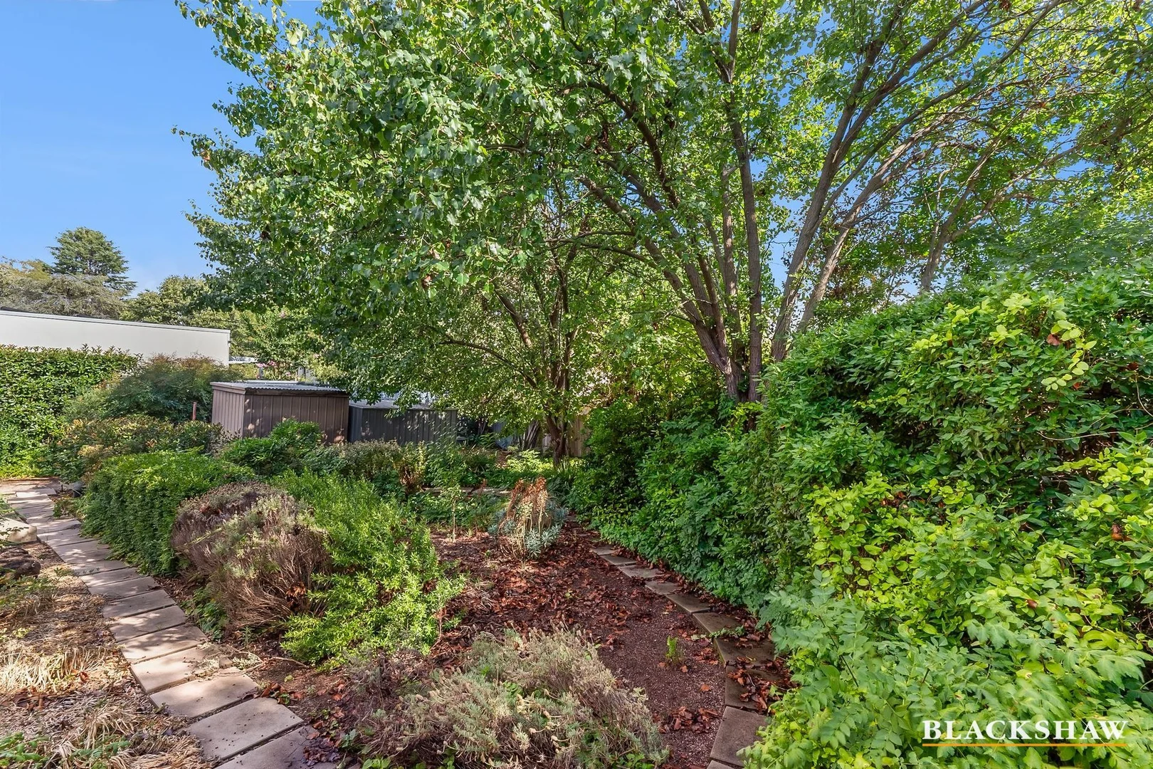 Additional image 10 of 3 Weston Street, Yarralumla ACT 2600