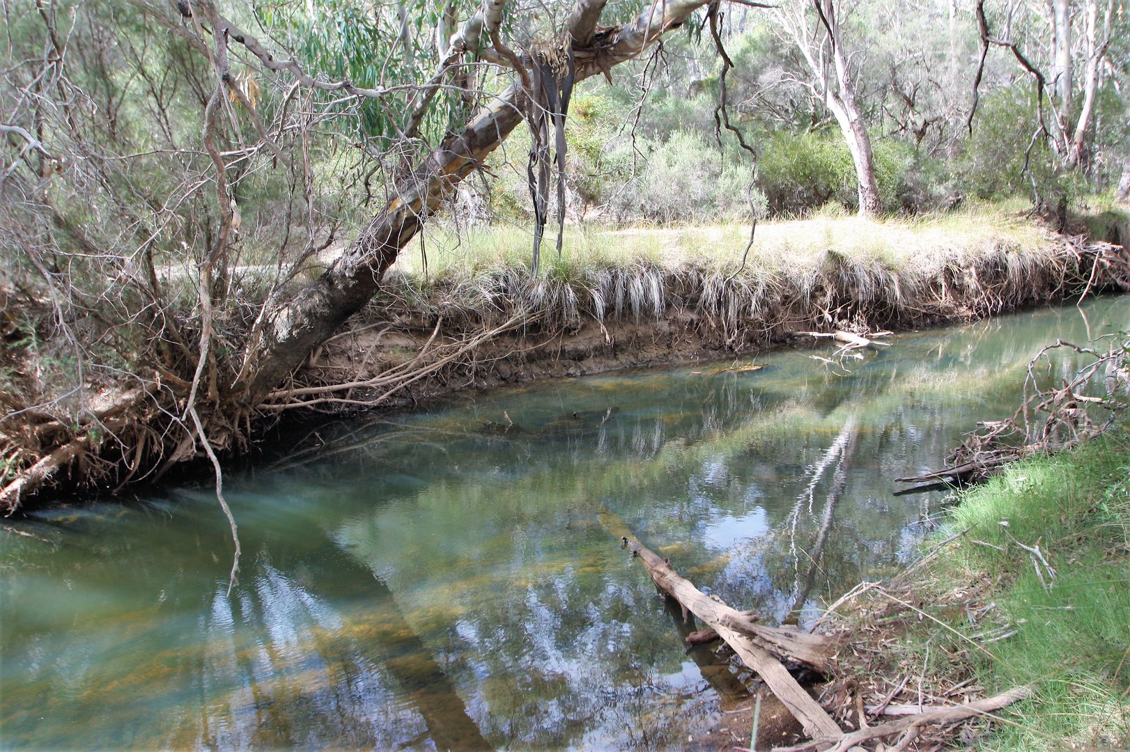 553 Mogumber West Road, Red Gully WA 6503, Image 2