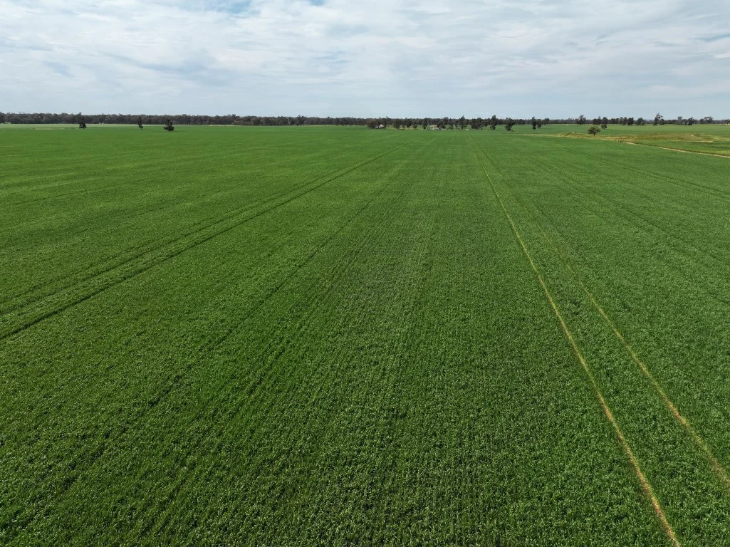 Image 12