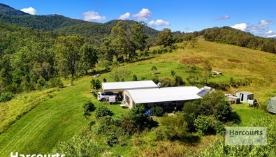 Picture of 2992 Nowendoc Road, CAFFREYS FLAT NSW 2424