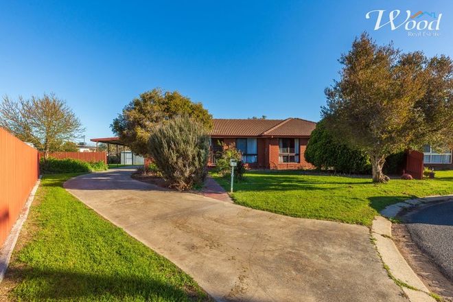 Picture of 1 MacTrebley Pl, CULCAIRN NSW 2660