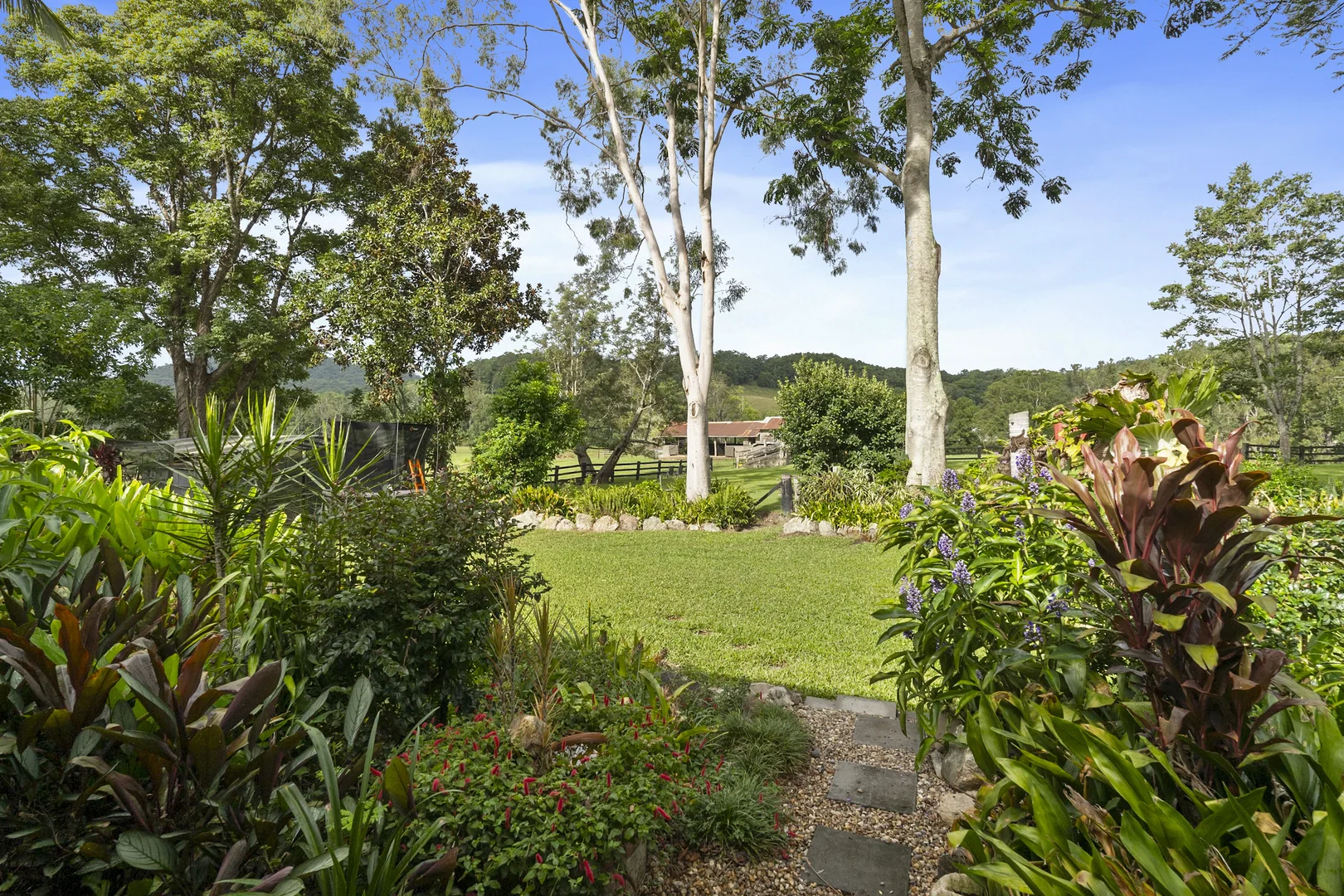 Image 12