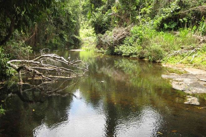 Picture of CAMP CREEK QLD 4871