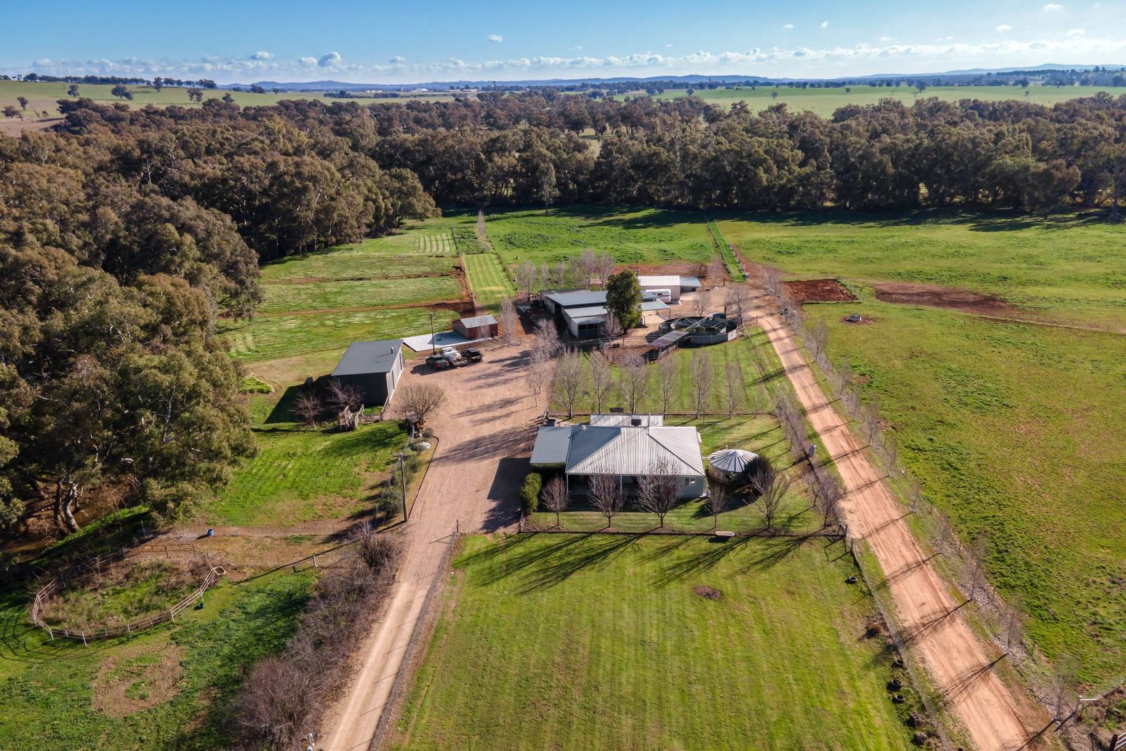 39 River Road, Alfredtown NSW 2650