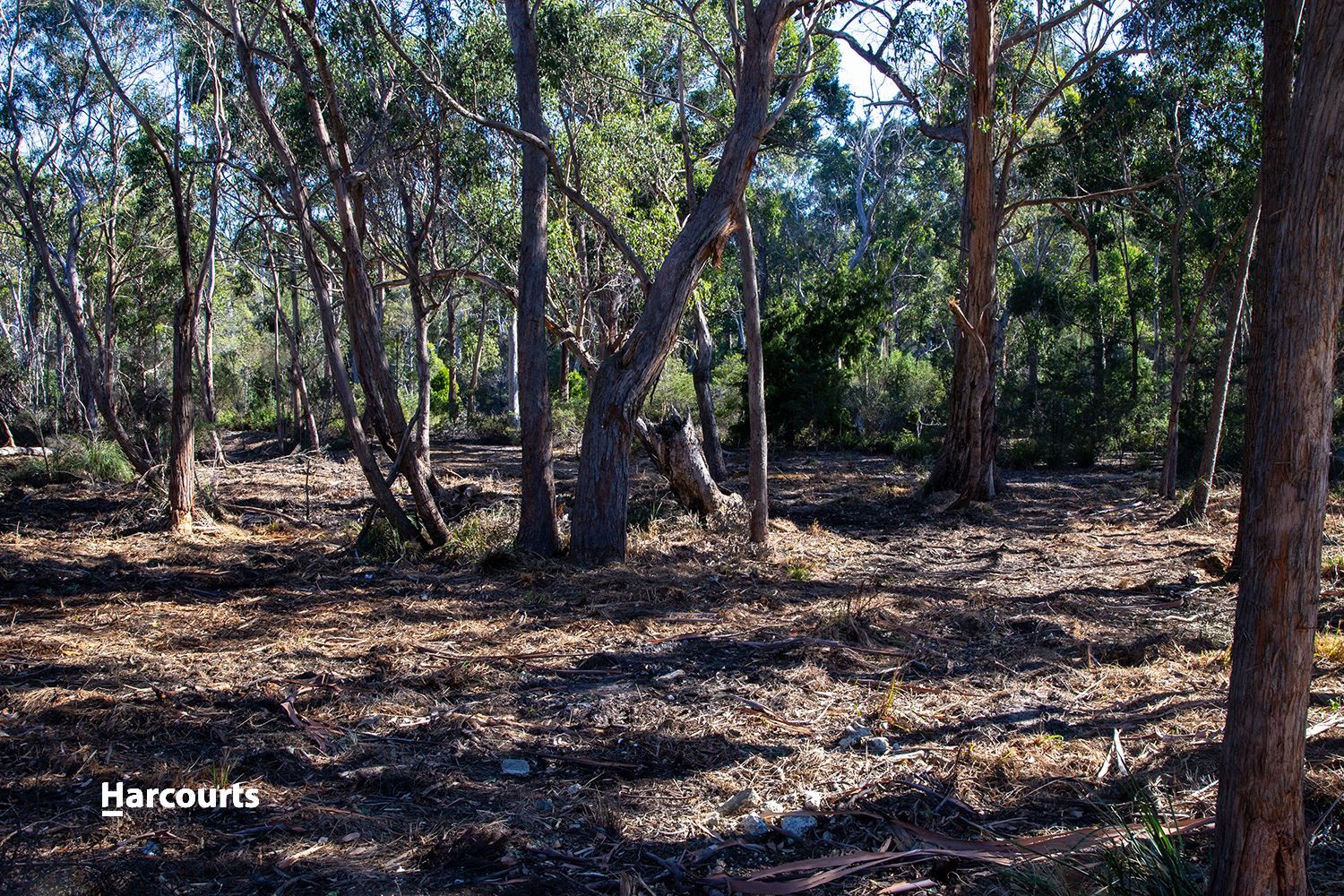 Lot 1 Big Roaring Beach Road, Surveyors Bay TAS 7116, Image 1