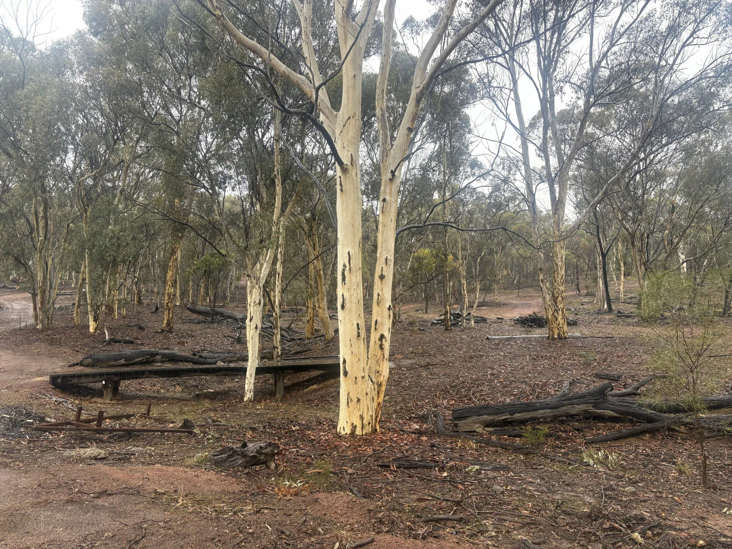 Image 19