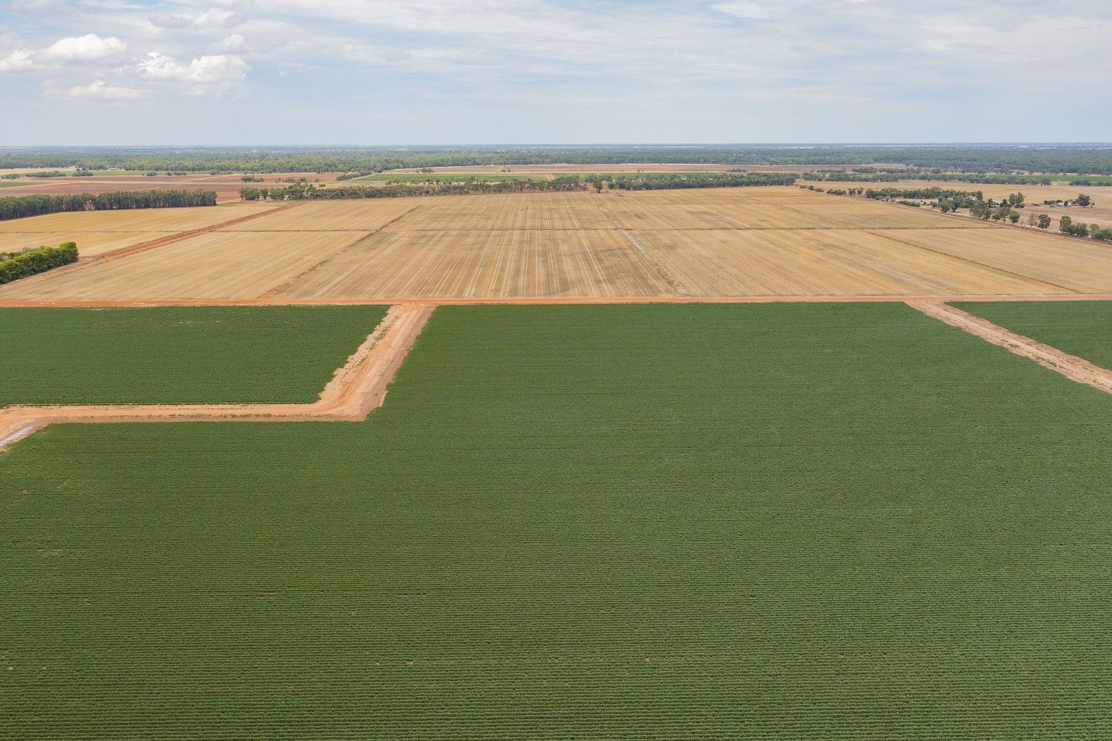 Whitton NSW 2705 House for Sale Domain