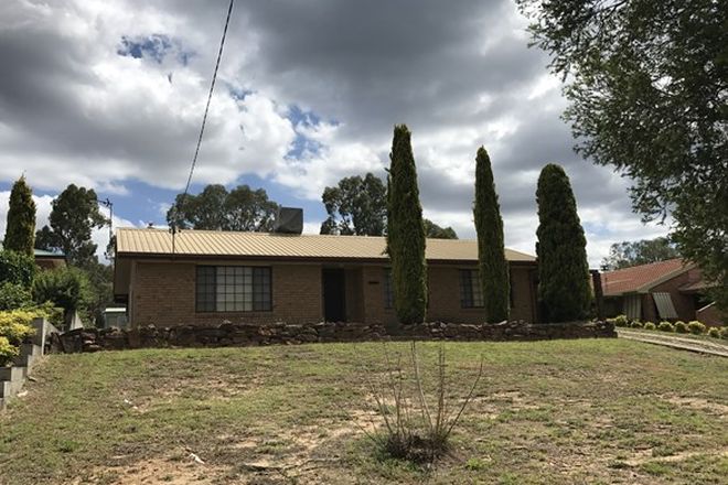 Picture of 32 Crane Street, WARIALDA NSW 2402