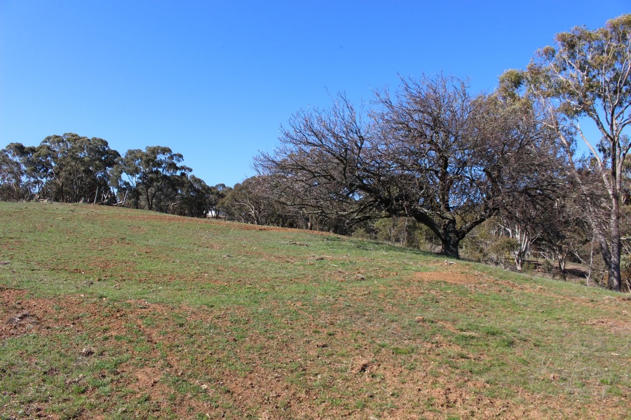 Messners Road, Fosters Valley NSW 2795, Image 1