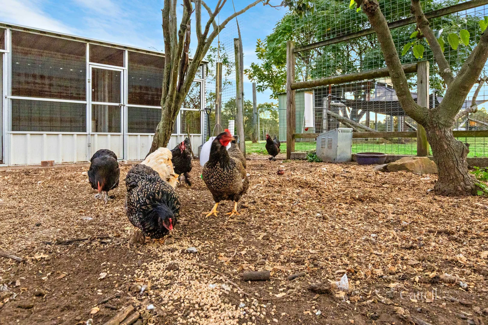 Additional image 52 of 3 York Street, Abermain NSW 2326