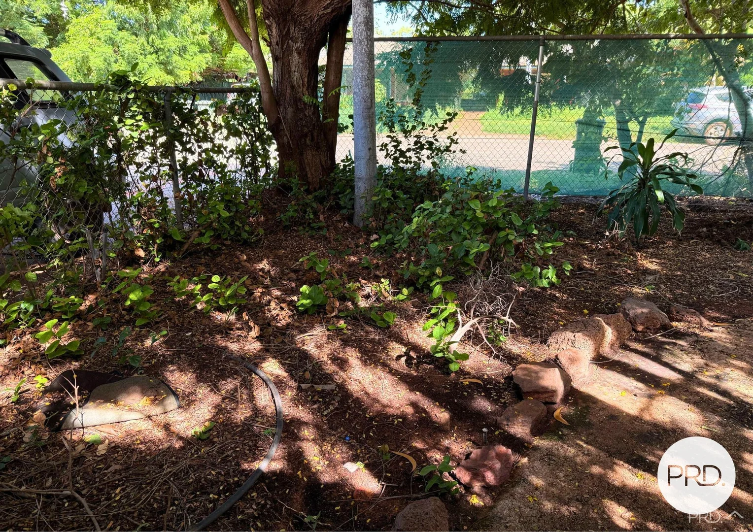 Image 10