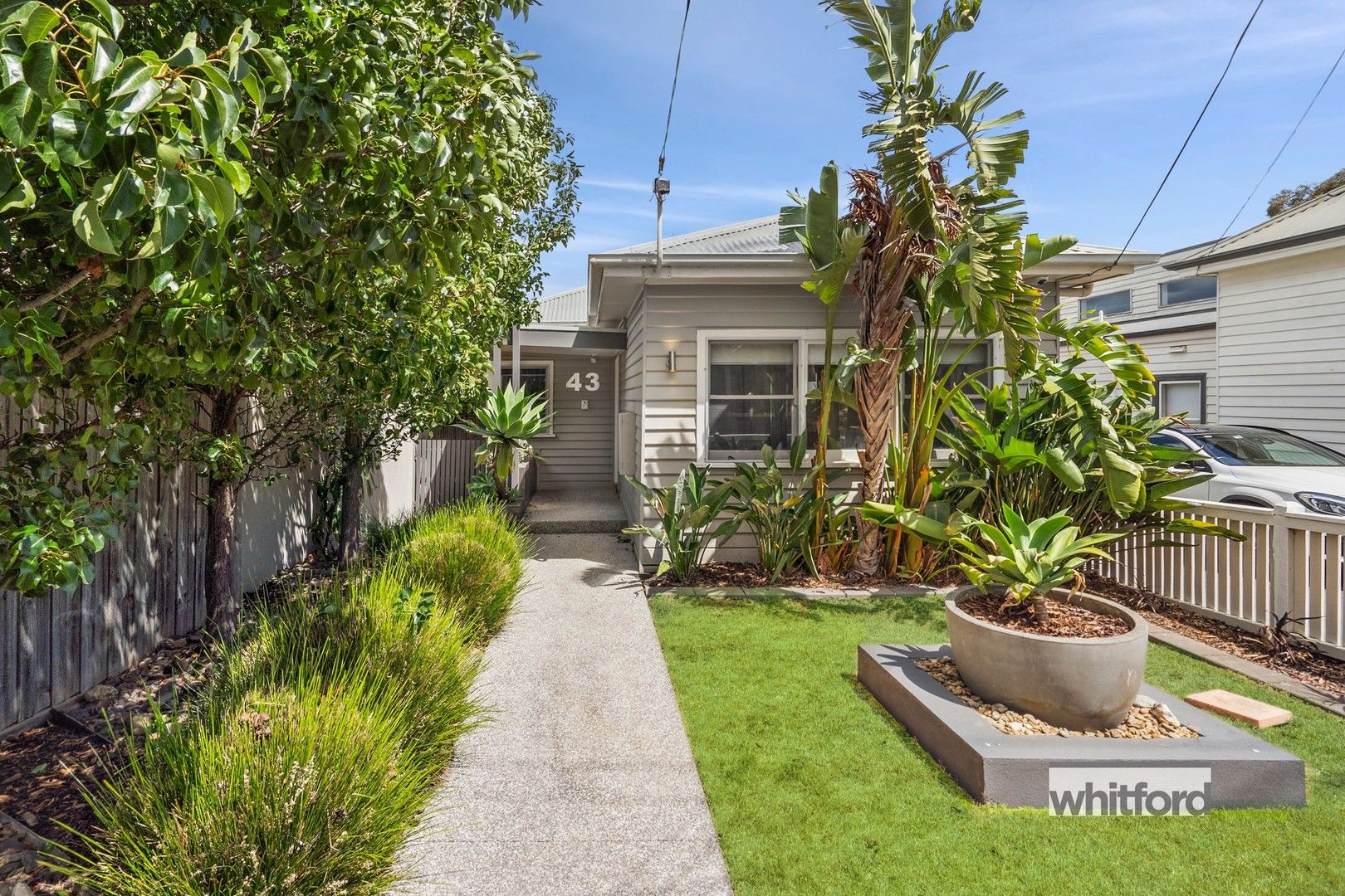 43 Percy Street, Newtown VIC 3220, Image 1