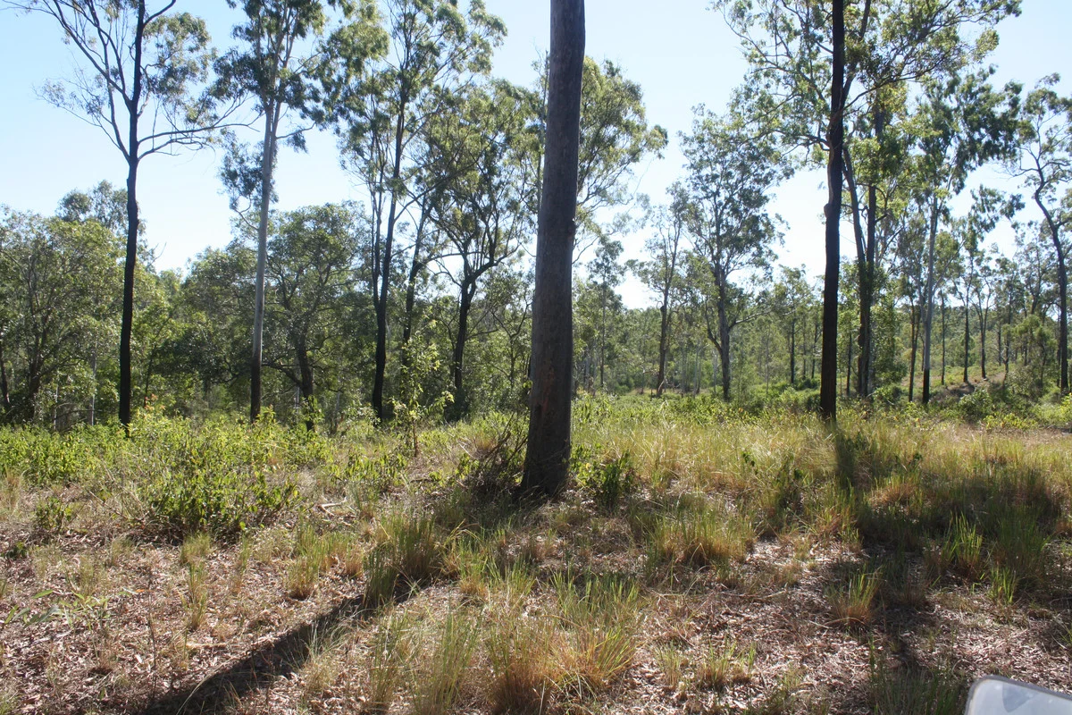 Image 8