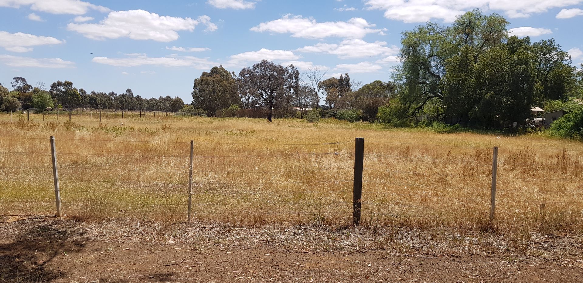 Lot 3 - 30PP5277 Simmie St, Elmore VIC 3558, Image 1