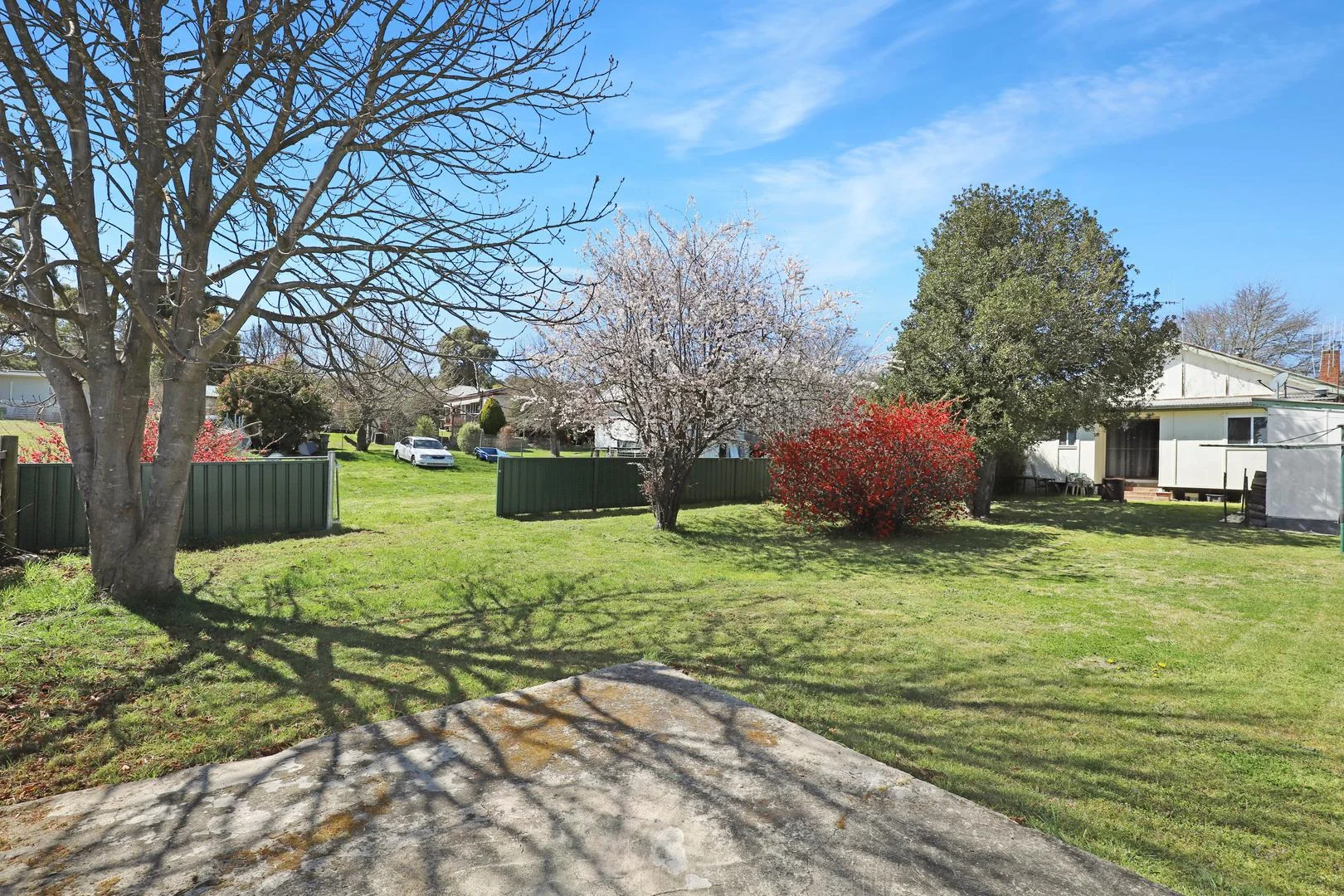 Image 15