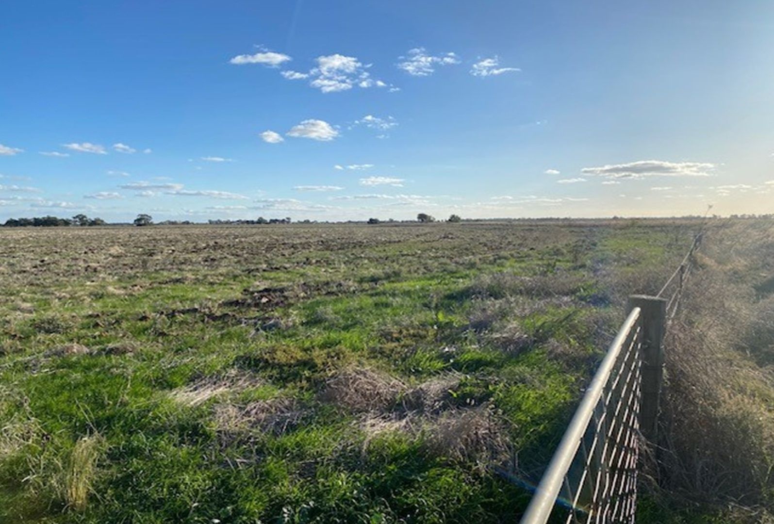 Farm 375 Maher Road, Leeton NSW 2705, Image 1