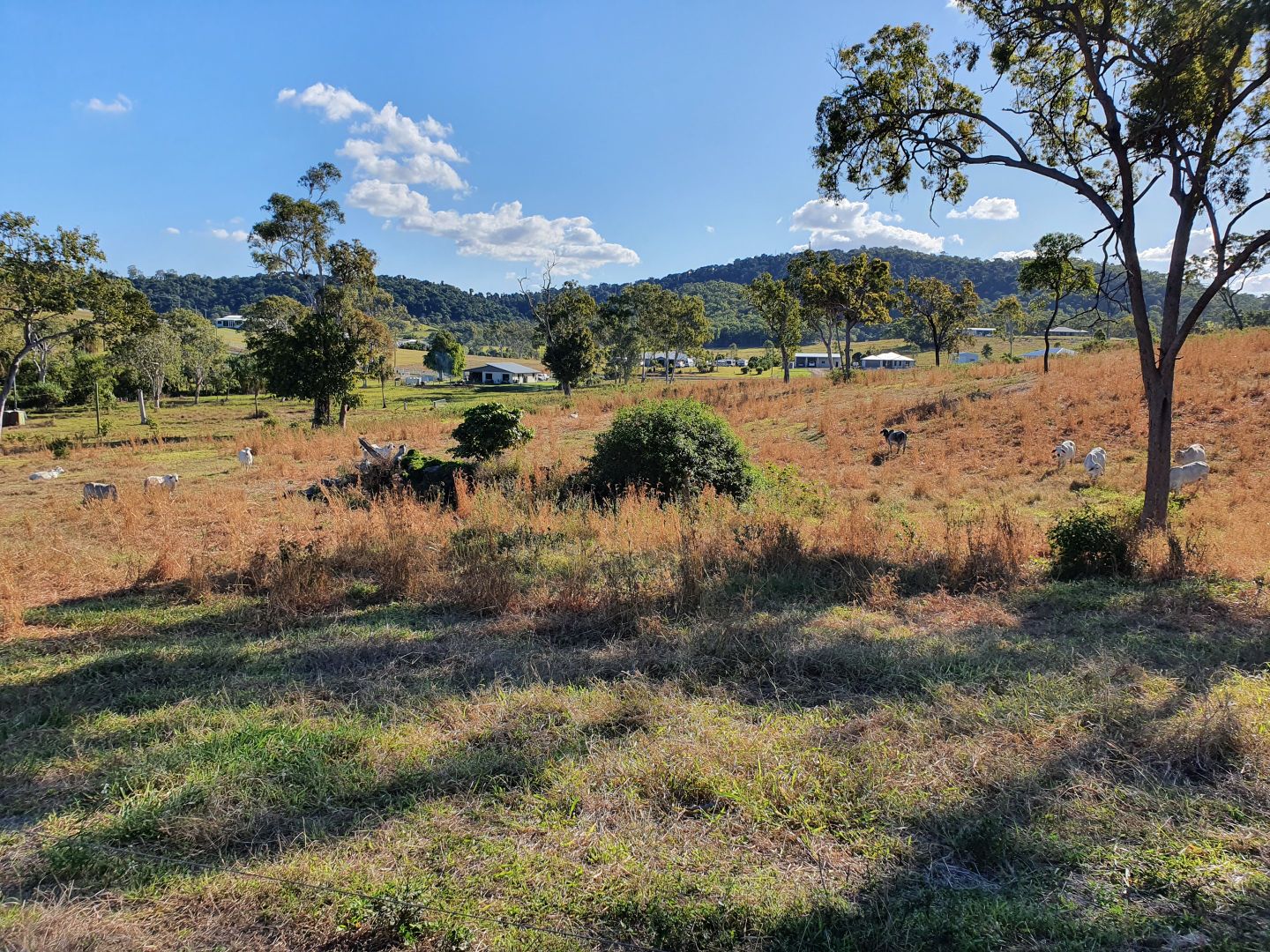 Lot 47/106 Moonlight Drive, Sarina QLD 4737 Domain