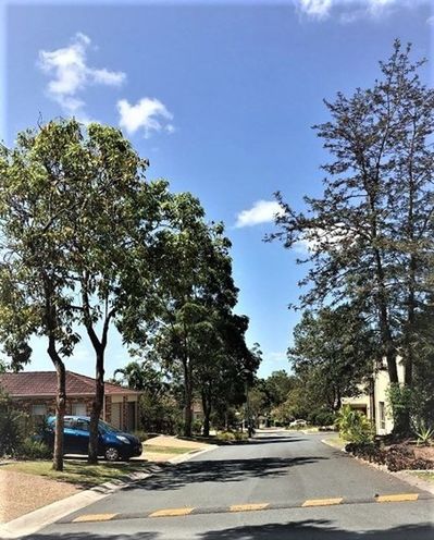 3 bedrooms Townhouse in 115 Gumtree street RUNCORN QLD, 4113