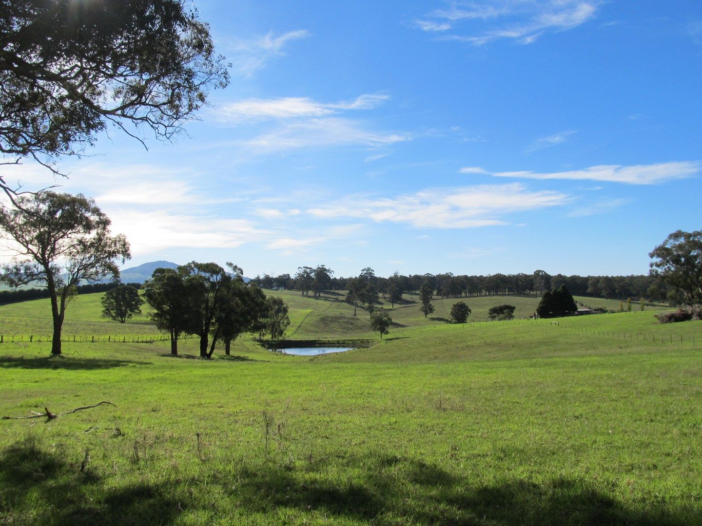 240 Mount Lookout Road, Mount Taylor VIC 3875, Image 0