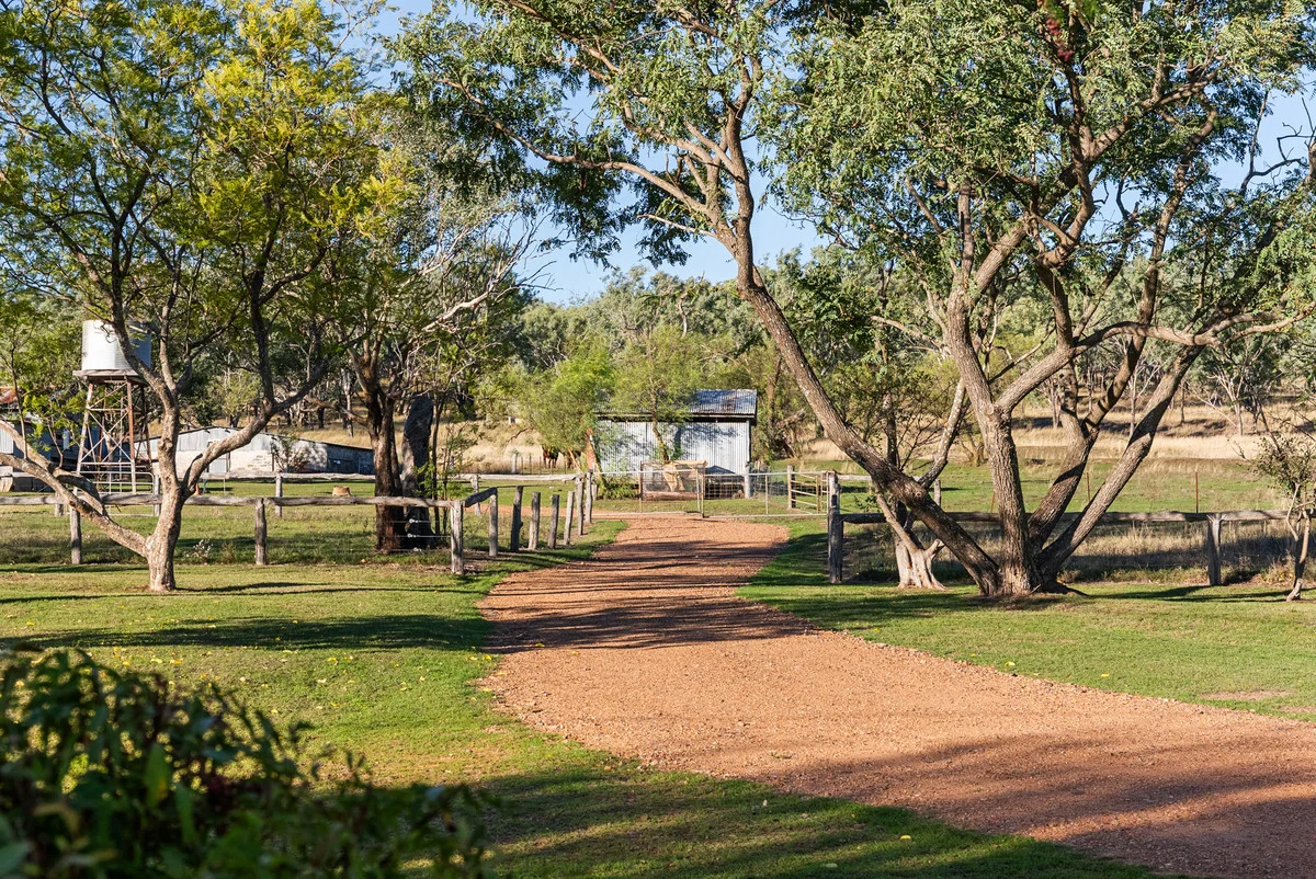Image 13
